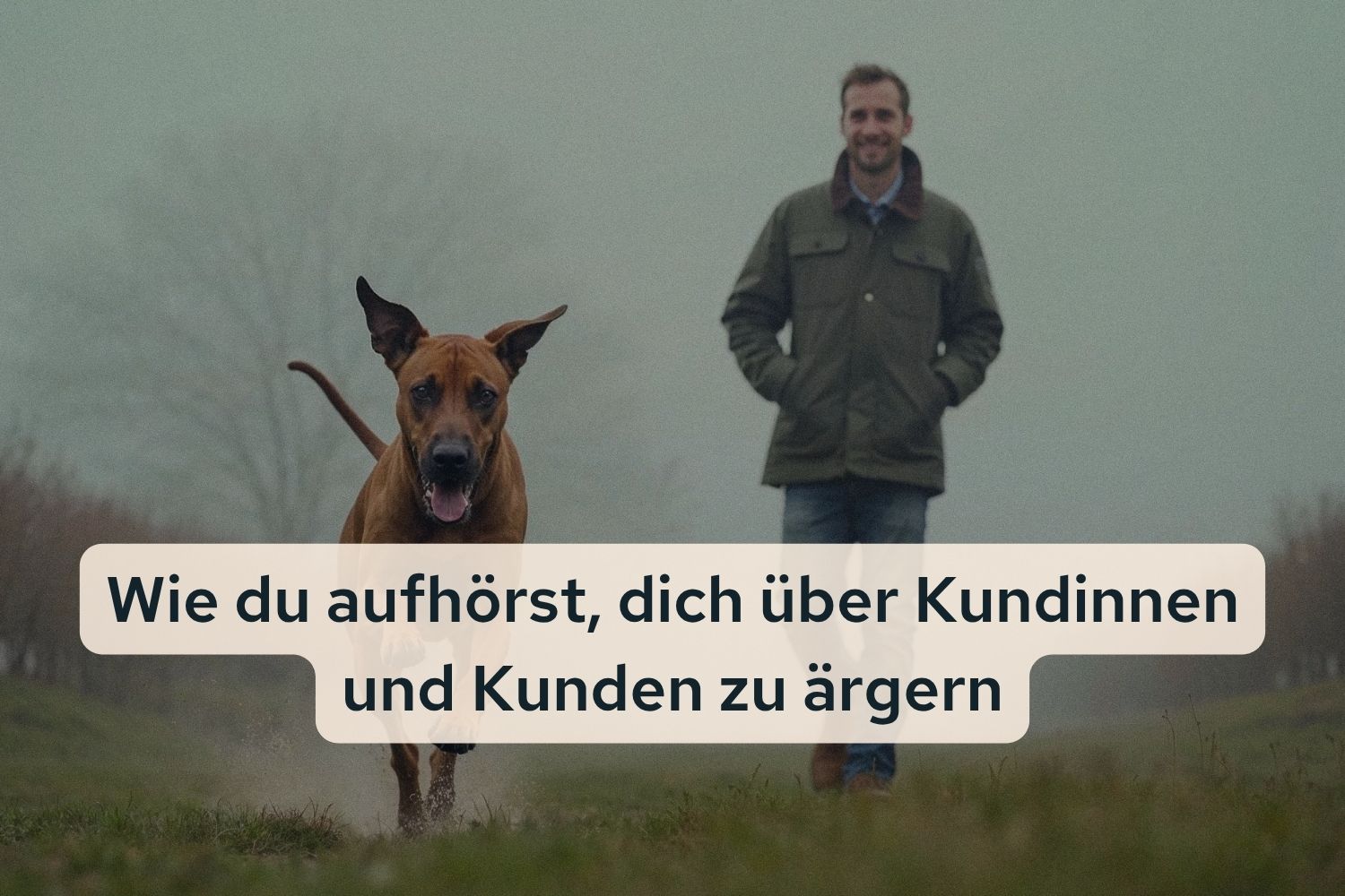 grenzen-setzen-business